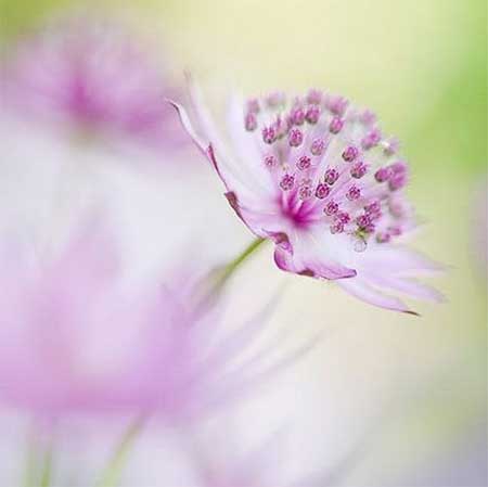 دانلود آهنگ انتظار بهزاد قوتی